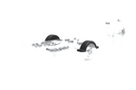 Guardabarros para remolque de barco de 13" DOMAR D20422, paso de rueda de 950/240 mm