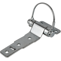 Bisagra lateral con grillete BSCH 30-2 - recambio