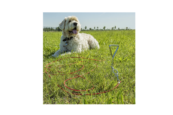 Poste de sujeción para perros ProPlus 361857 con cable de acero de 4,5 m