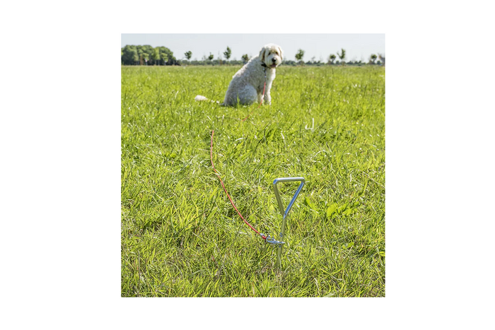 Poste de sujeción para perros ProPlus 361857 con cable de acero de 4,5 m