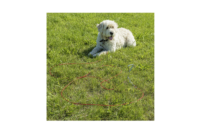 Poste de sujeción para perros ProPlus 361857 con cable de acero de 4,5 m