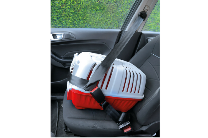 Extensor de cinturón de seguridad homologado LAMP R16 28-62cm