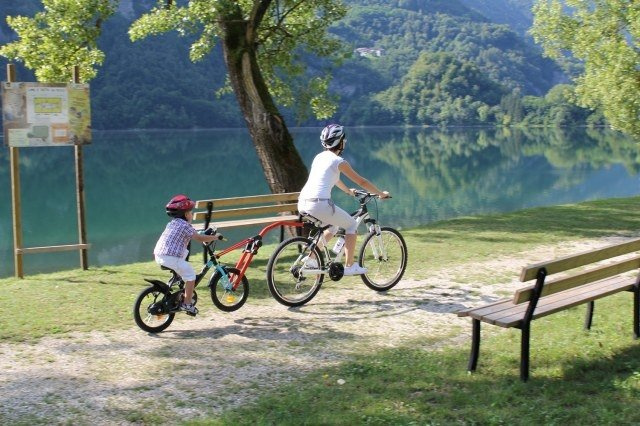 Barra de remolque para bicicleta Trail Angel - Roja